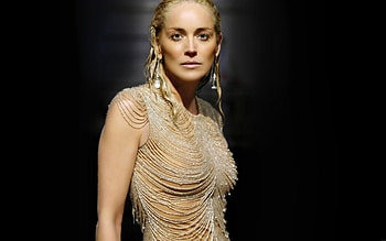 Sharon Stone, American actress, VIP , Celebrities of Hollywood HD wallpaper