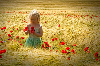 Baby Girl In Fields, baby girl, beautiful, , in fields HD wallpaper