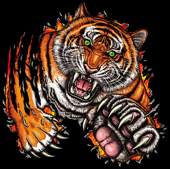Art, Grin, Predator, Tiger, Bounce, Jump HD wallpaper