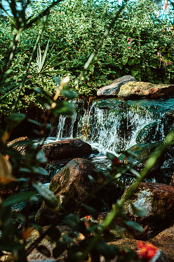 Nature, Water, Rivers, Stones, Bush, Waterfall HD phone wallpaper