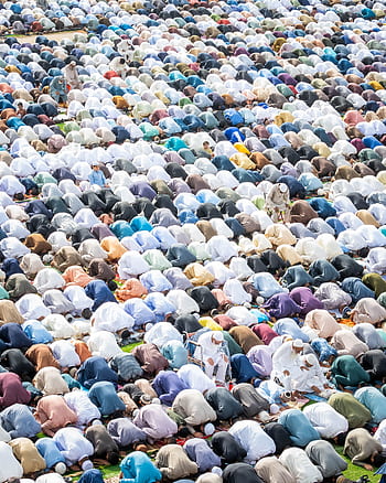 A high-angle view of a large group of Muslims praying outdoors, showcasing Islamic worship and unity. HD phone wallpaper