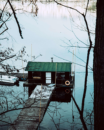 Nature, Pier, Branches, House, Bridge HD phone wallpaper