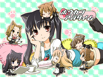 Cat workers, anime, ears, cat, girl, workers, sleep, little HD wallpaper