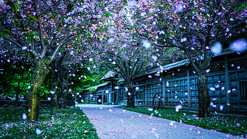 Kariya Park , park, nature HD wallpaper