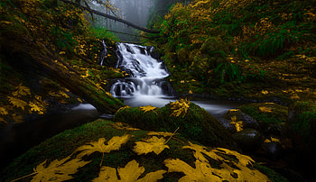 Columbia River Gorge, river, nature HD wallpaper