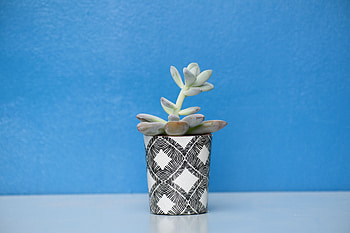 Flowers, Table, Indoor Plant, Houseplant, Pot HD wallpaper