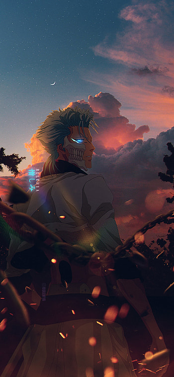 Grimmjow Jaggerjack, cloud, naruto, sky, aizen, ichigo, bleach, nanatsunotaiza, onepiece, hunterxhunter HD phone wallpaper