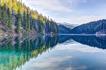 Tranquil lake reflecting dense pine forest and distant mountains, ideal for peaceful nature backgrounds. HD wallpaper