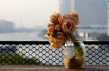 Flowers, Roses, Bank, Bouquet, Jar HD wallpaper