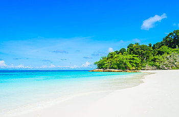 Serene Beachscape: Pristine Shores & Lush Greenery, landscape, beach HD wallpaper