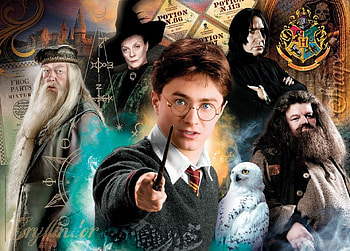 Harry Potter, wizard, movie, fanatasy, daniel radcliffe, boy HD wallpaper