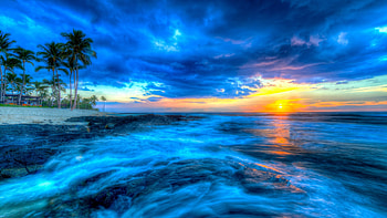 Hawaiian Sunset, sea, clouds, colors, sky, sun, usa, beach, palm trees HD wallpaper