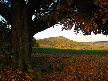 Most beautiful, bench, fall, popular, colors, sesons, tagged, orange, beauty, tree, leaves, brown, green, red, autumn, places HD wallpaper