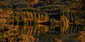 Autumn Forest, Lake, Forest, Scotland, Trees HD wallpaper