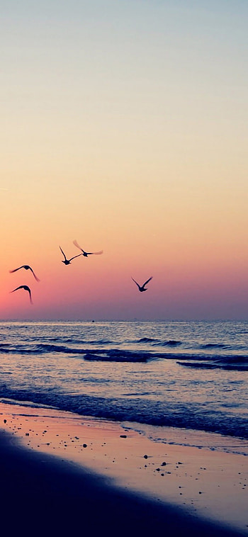 Seascape travels, Serene sunset panorama, Endless horizons, Vibrant scenery HD phone wallpaper