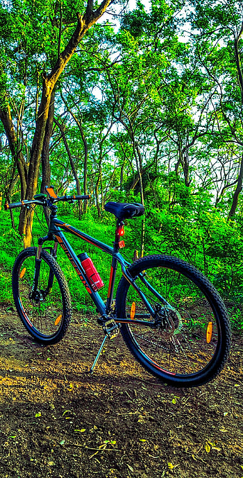 Cycle Firefox, nature, cycling, bike, road bike HD phone wallpaper