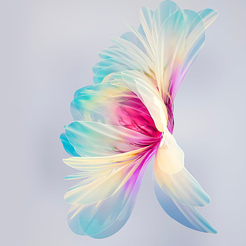 Huawei p50 flower abstract HD phone wallpaper