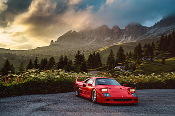 Ferrari F40 In Nature , ferrari-f40, ferrari, cars, behance HD wallpaper