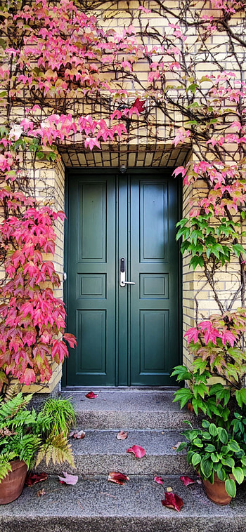 Encanto in real, love, beautiful, door, encantolove, doorstyle, unique, realencanto HD phone wallpaper