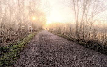 Nature, Shine, Light, Silhouette, Road, Fog, Human, Person HD wallpaper