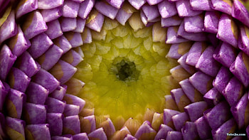 3D Art Nature, 3d art, nature HD wallpaper
