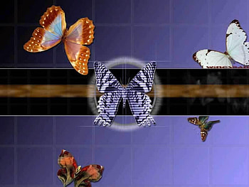 3d graphic 3d 3d 800x600.jpg, graphic, butterflys, 3d, art HD wallpaper