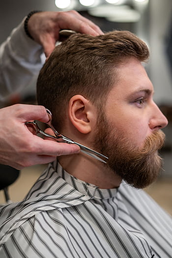 A side view of a barber trimming a bearded man's hair in a barber shop. HD phone wallpaper