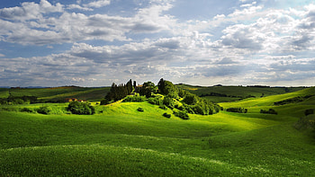 Nature grass field, Serene landscapes, Fresh meadow, Vibrant greens HD wallpaper