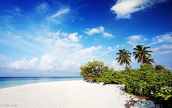 Beach, nature, beach HD wallpaper