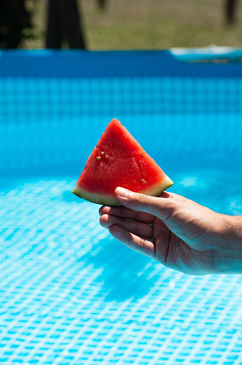 Hand, Miscellanea, Miscellaneous, Fruit, Watermelon, Lobule, Clove HD phone wallpaper