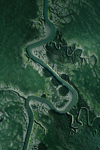 Nature, Rivers, Grass, View From Above, Winding, Sinuous HD phone wallpaper