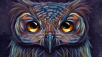 Drawing, Animal, Owl, Birds HD wallpaper