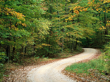 Landscape, Trees, Roads HD wallpaper