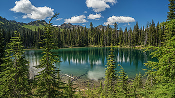 Lake Surrounded By Green Trees Bushes Sticks Under White Clouds Blue Sky Reflection On Water Nature HD wallpaper