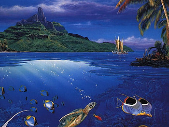 Nature fun, sea, nature HD wallpaper