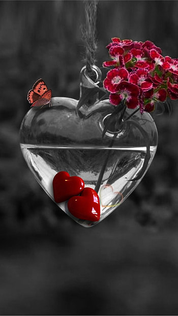 Beautiful Heart, Beautiful HD phone wallpaper