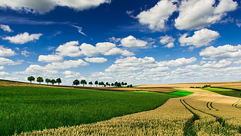 Field, Farms HD wallpaper