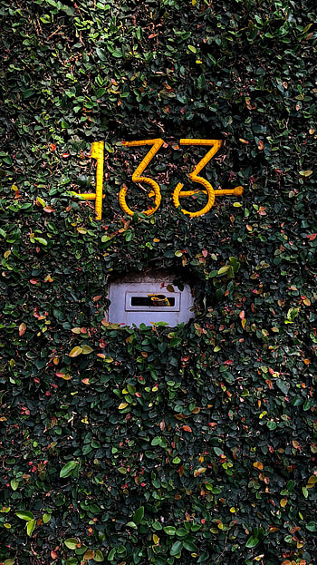 Plant, Miscellanea, Miscellaneous, Room, Foliage, Number, Mailbox HD phone wallpaper