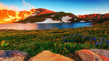 Wildflowers at Mt. Evans, sky, colorado, lake, usa, rocky mountains HD wallpaper