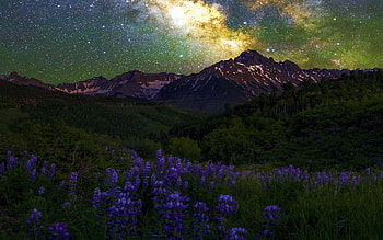 Milky Way over some wildflowers in Colorado, landscape, flowers, stars, mountains, usa, evening HD wallpaper