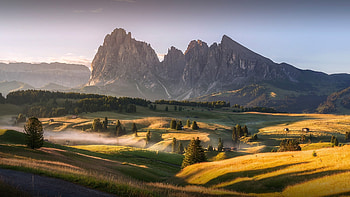 Alpe di Siusi, Summer in Dolomites, South Tyrol, Windows 10 spotlight HD wallpaper