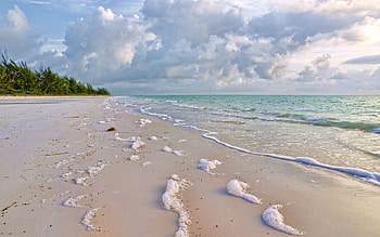 Greens, Nature, Sea, Sand, Coast, Foam, Surf HD wallpaper