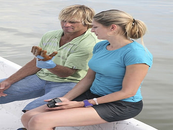 LAIRD HAMILTON & GABBY REESE, action, sports, entertainment, usa HD wallpaper