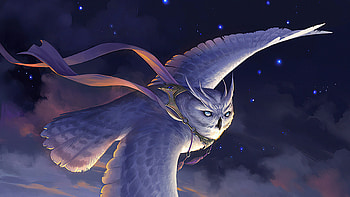 Owl Highwind Glider, owl, artist, artwork, digital-art, deviantart HD wallpaper