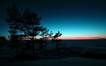 Nature, Trees, Sunset, Sky HD wallpaper