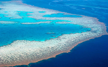Great Barrier Reef, Coral reef HD wallpaper