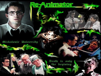 Re Aminator, Horror Movie, Horror Movies, Horror HD wallpaper