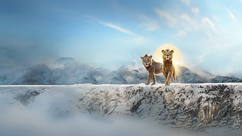 Mufasa The Lion King Poster 2024, mufasa-the-lion-king, movies, 2024-movies, animated-movies, disney, the-lion-king, poster HD wallpaper