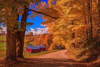 Autumn farm, fall, farm, beautiful, houses, leaves, branches, trees, autumn, road, countryside, foliage HD wallpaper