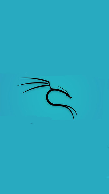 Kali Linux Blue, dragon HD phone wallpaper
